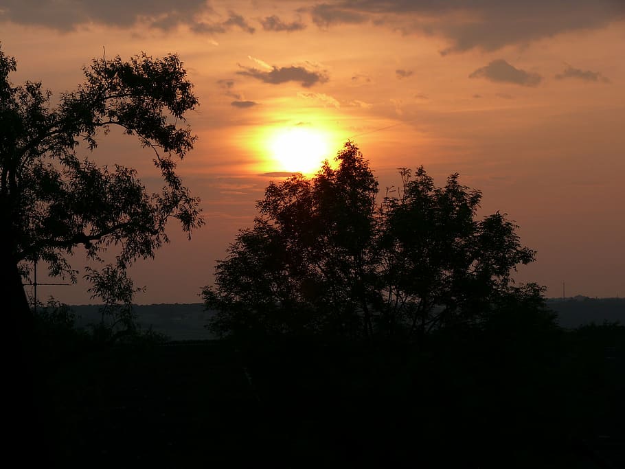 sunset, evening sky, lighting, tree, silhouette, plant, scenics - nature HD wallpaper