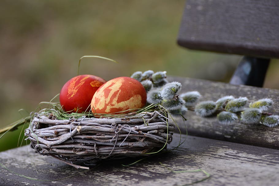 two red eggs on brown bird nest, easter eggs, easter nest, easter decoration HD wallpaper