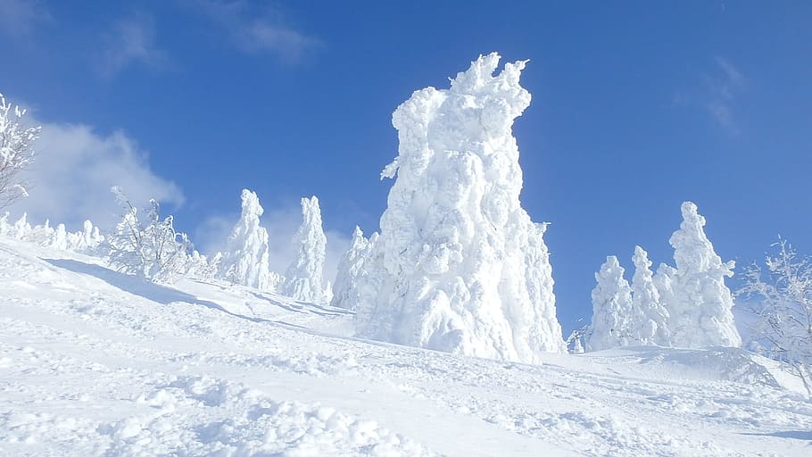 snow, winter, cold, ice, frost, cold temperature, white color HD wallpaper
