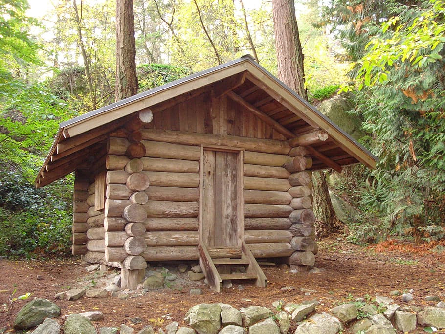 forest lodge, canada, vancouver, britsh columbia, wood - Material HD wallpaper