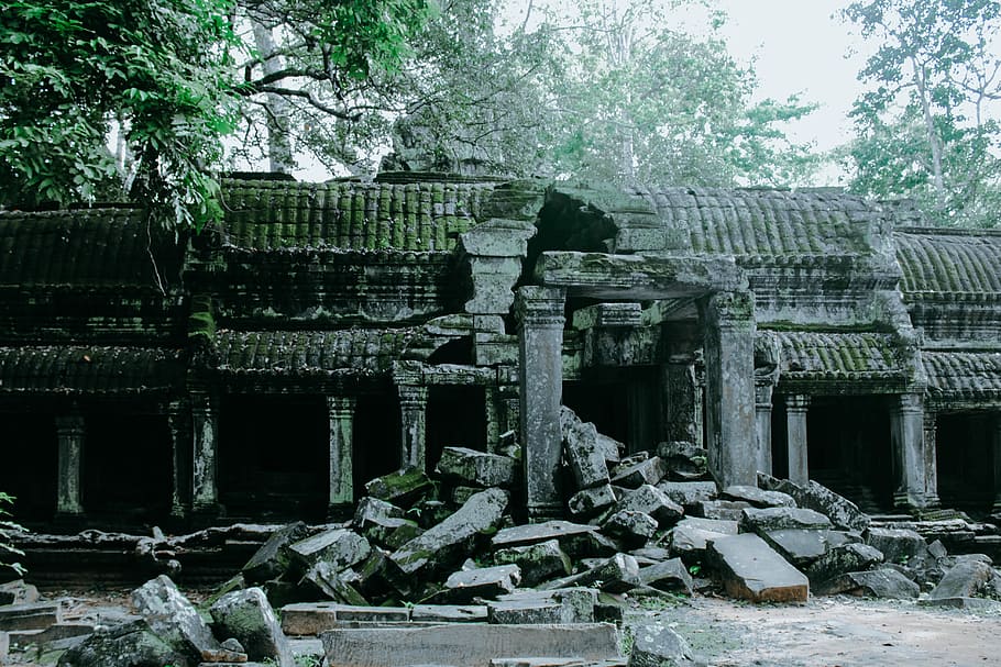grey concrete ruins near green trees at daytime, gray concrete ruins in a forest HD wallpaper