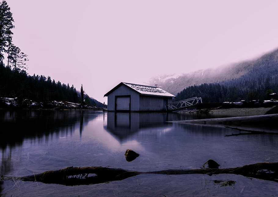 black and gray house between trees, calm body of water, lake HD wallpaper