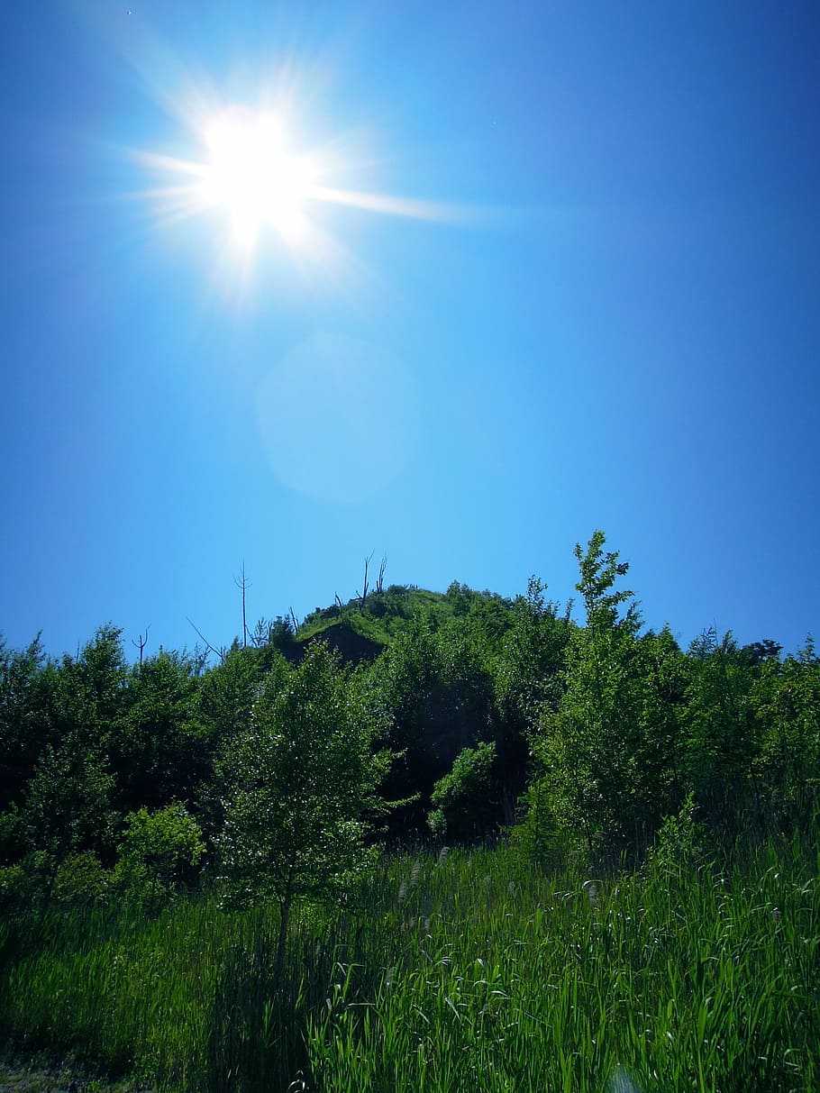 sky, nature, summer, sunlight, sunny, mountain, scene, plant HD wallpaper