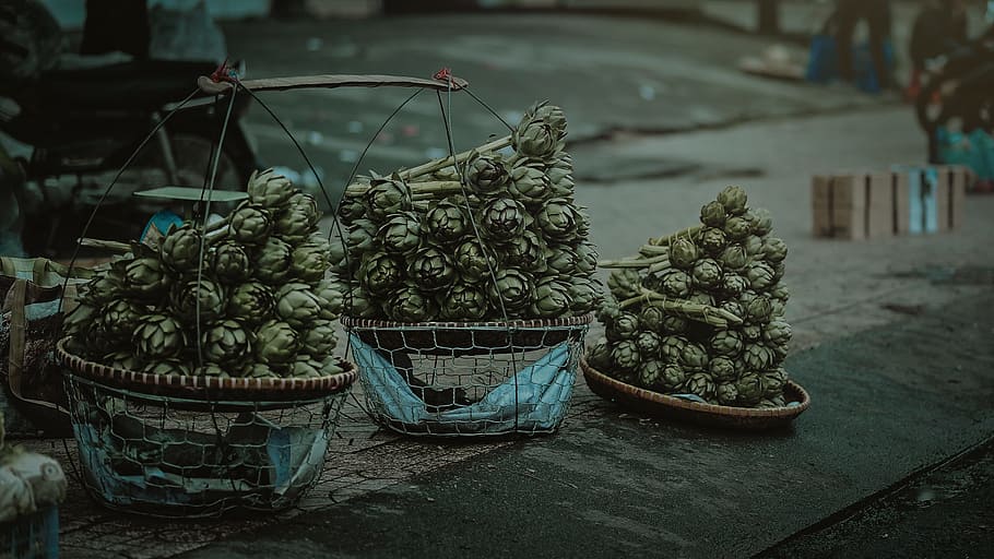 Gray Nuts With Three Baskets on Gray Table, blur, cacti, close-up HD wallpaper