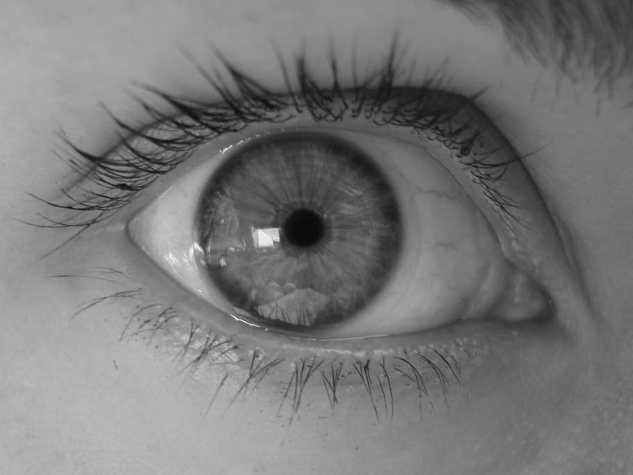 eye, pupil, eyelash, human eye, eyesight, close-up, human body part HD wallpaper