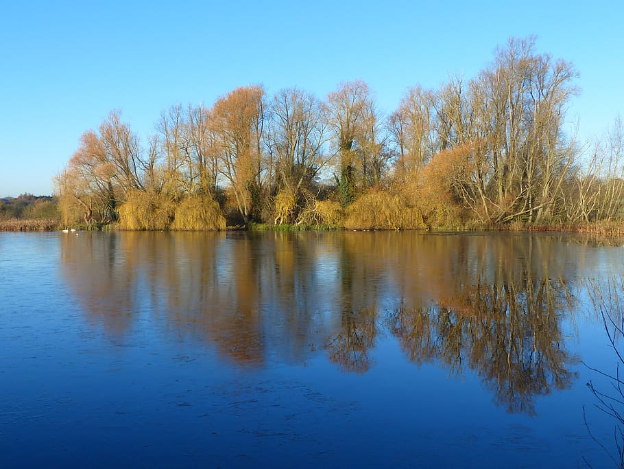 trees, lake, reflection, water, sky, blue, tranquility, tranquil scene HD wallpaper