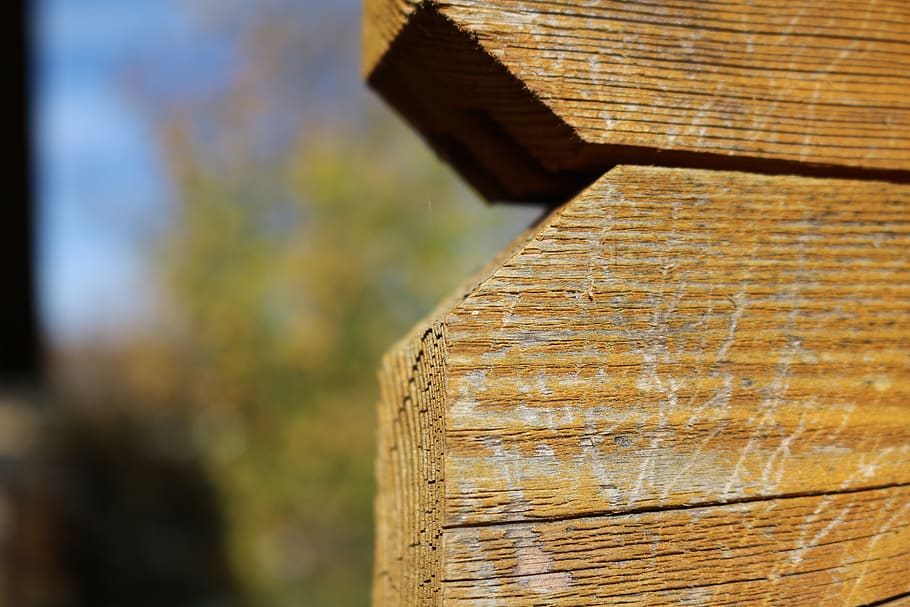 fence, boards, paling, privacy, wood - material, textured, focus on foreground HD wallpaper