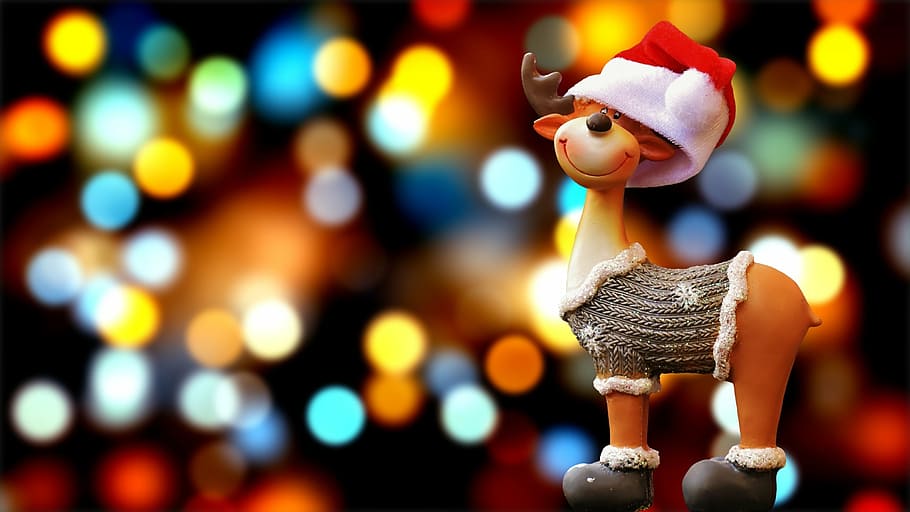 brown and gray deer figurine, moose, christmas, christmas motif, HD wallpaper