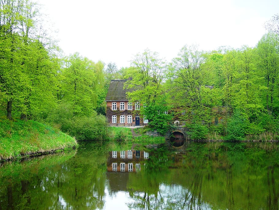 water, mill, trees, spring, landscape, wilderness, scenery HD wallpaper