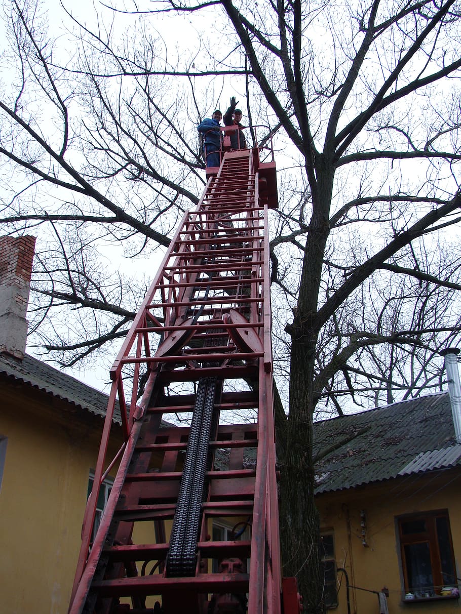saw cut, trees, old tree, felling, architecture, built structure HD wallpaper