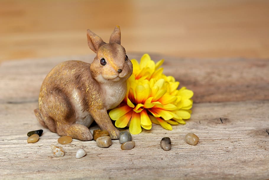 Hare, Easter Bunny, Flower, dekohase, yellow, dekoblume, stones HD wallpaper