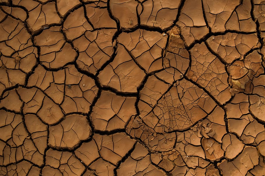 drought, aridity, aridness, dry, crack, texture, surface, ground, HD wallpaper