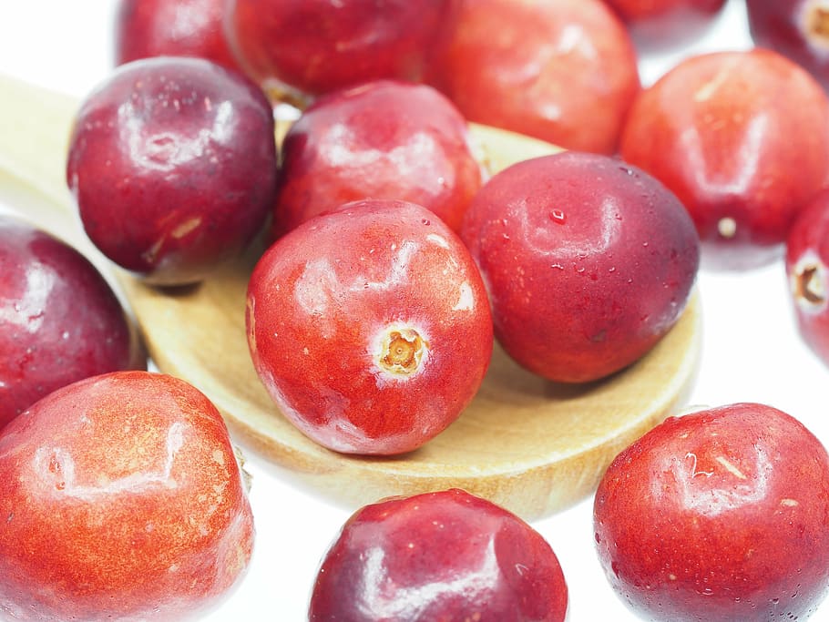 cranberry, spoon, fruit, sour, red, nature, delicious, health HD wallpaper