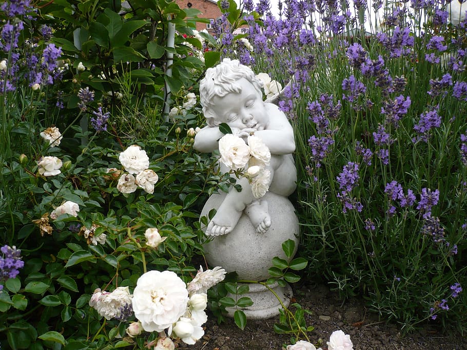 cherub statue surrounded by flowers, angel, garden, wing, white, HD wallpaper