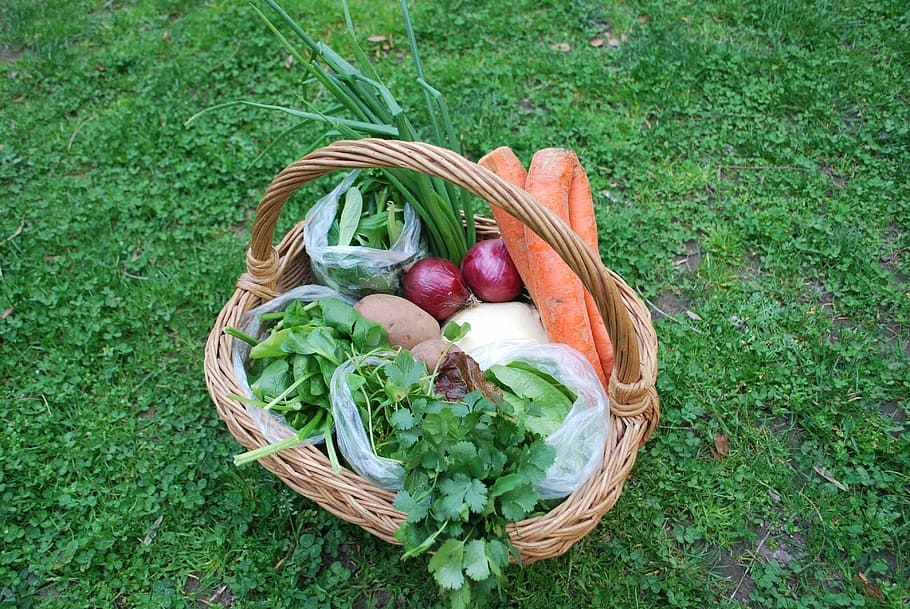 Carrot, Food, Vegetable, Healthy, green, diet, fresh, vegetarian, HD wallpaper