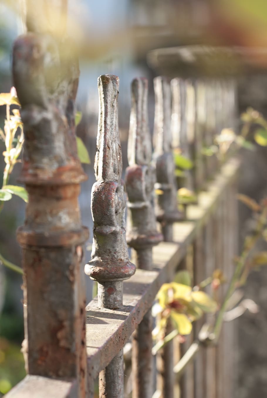 fence, light, garden, white, garden fence, stainless, plant HD wallpaper