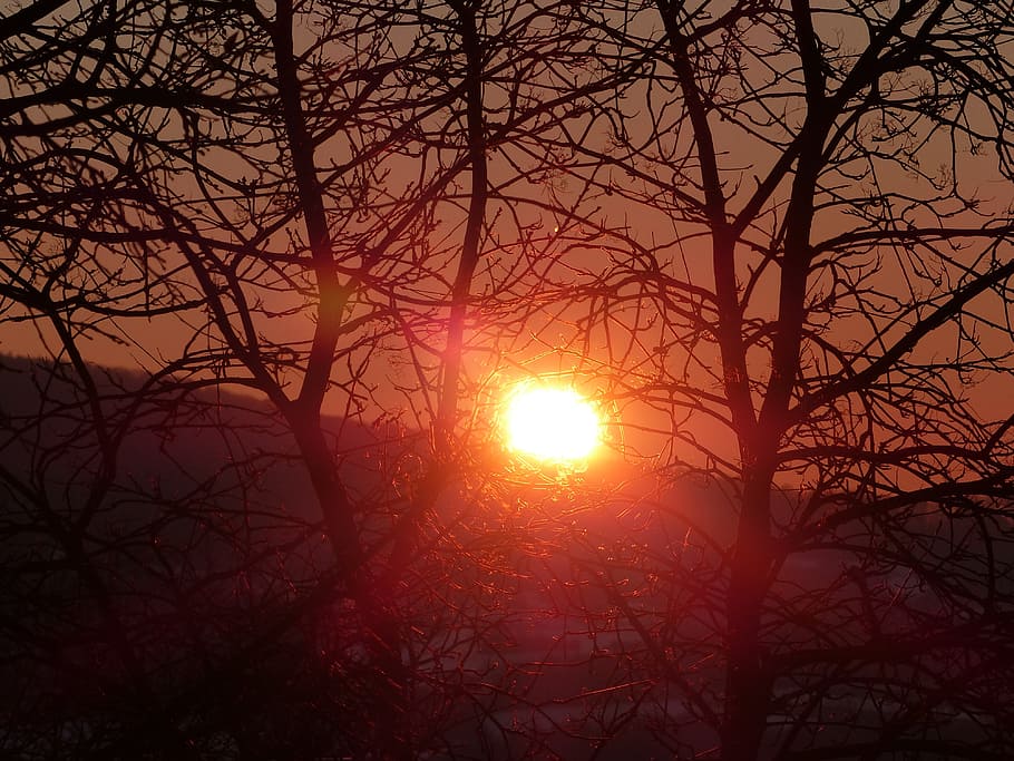 sunrise, mood, red, romantic, nature, back light, morgenstimmung HD wallpaper