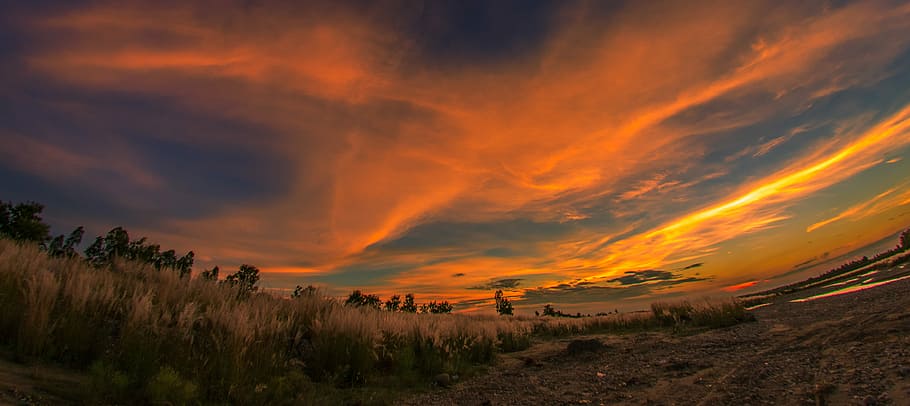 grass field under blue sky, grass under yellow and blue sky, sunset HD wallpaper