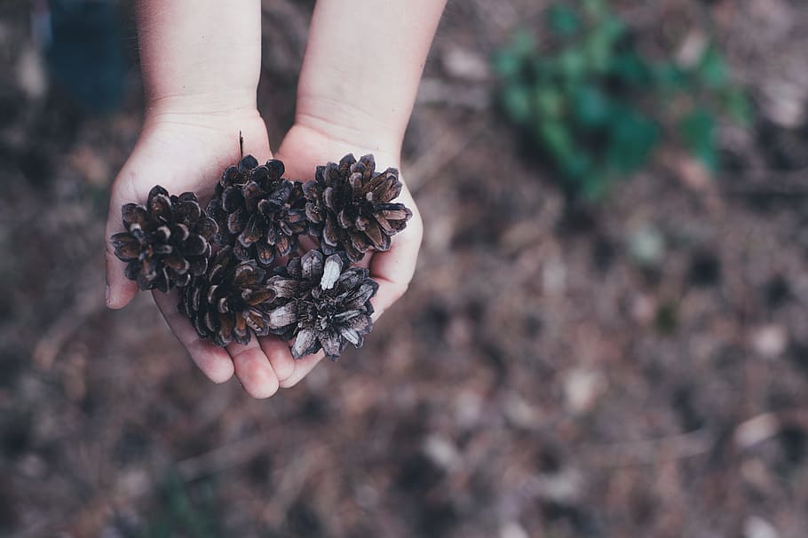 daylight, ground, hands, nature, outdoors, human hand, human body part HD wallpaper