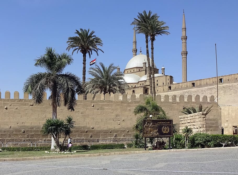 cairo, citadel, mosque, minaret, fortifications, palm, travel