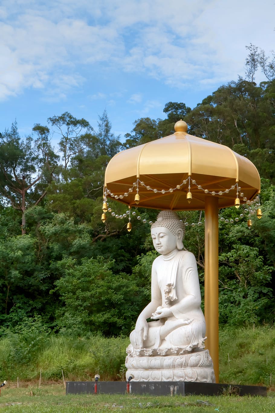 buddha statues, buddhism, artistic conception, tree, plant HD wallpaper