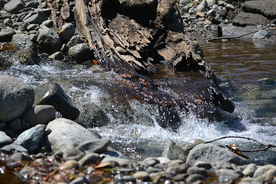 river, water, nature, rocks, landscape, vegetation, current HD wallpaper