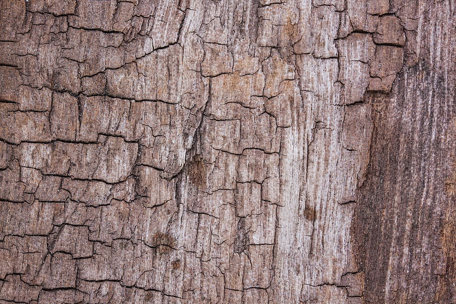 wood, structure, fund, driftwood, old, weathered, cracks, brown HD wallpaper