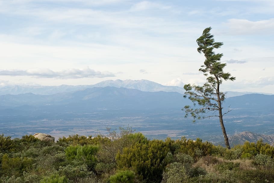 spain, tree, mountains, nature, spring, land, day, wind, weather HD wallpaper