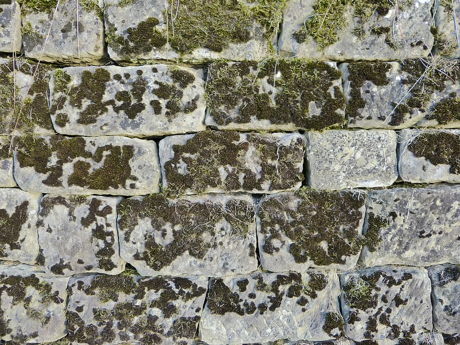 wall, stone, moss, old, garden, weathered, nature, full frame HD wallpaper