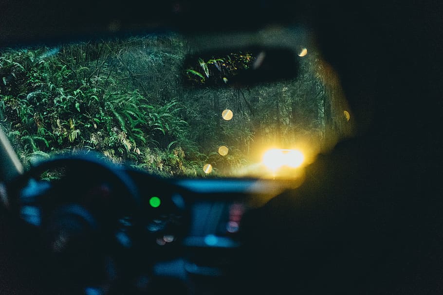 person riding on car across green trees, untitled, vehicle, windscreen HD wallpaper