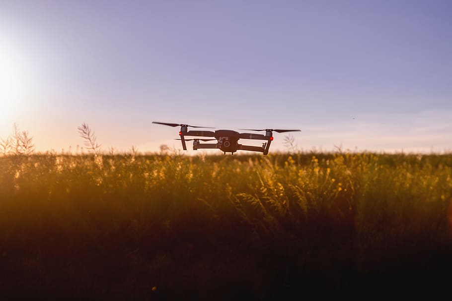 quad copter drone near flowers, green, grass, field, farm, horizon HD wallpaper