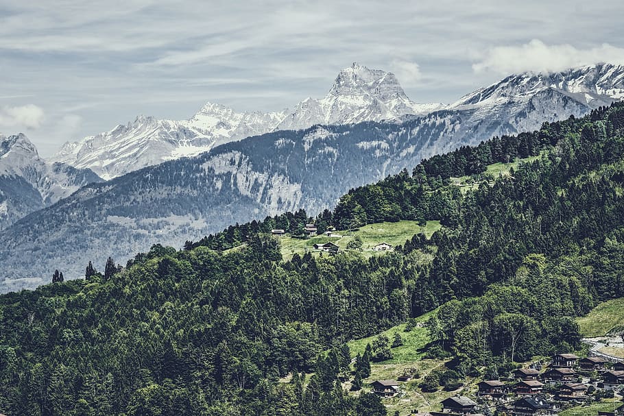 aerial photography of mountain, green trees near white mountain during daytime HD wallpaper