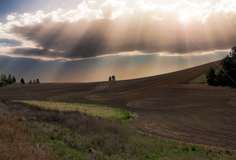 sunbeams, clouds, field, grass, soil, countryside, rural, blue HD wallpaper
