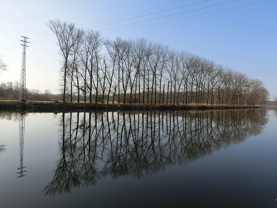 avenue, trees, water, mirroring, landscape, rest, reflection HD wallpaper