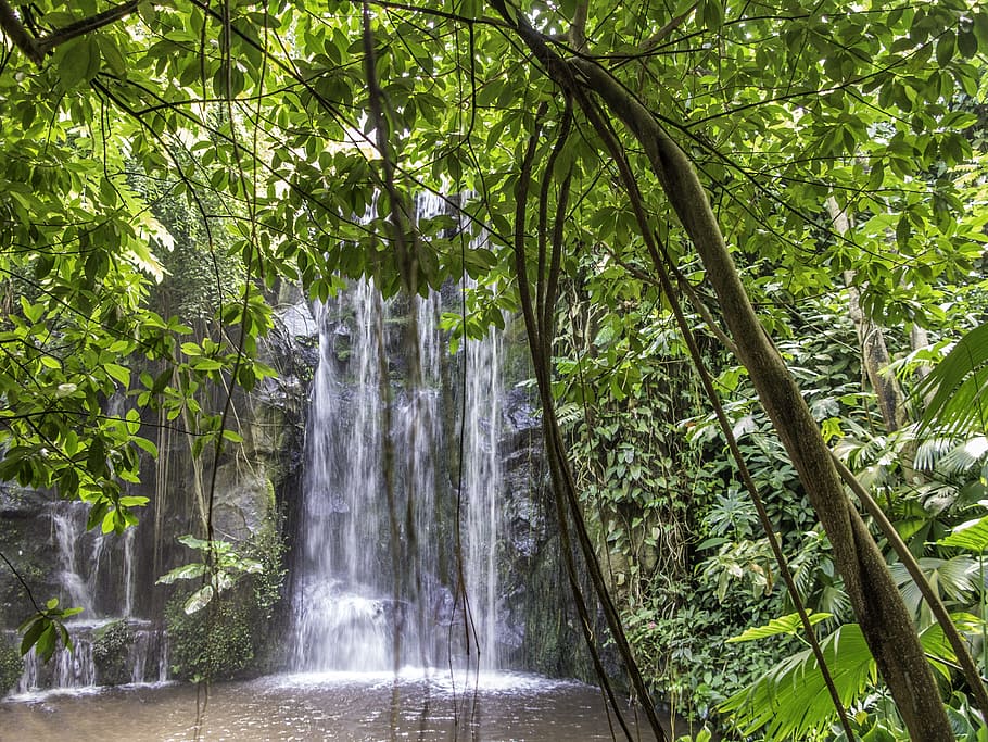 Waterfall, Nature, Landscape, Forest, island, paradise, tree HD wallpaper