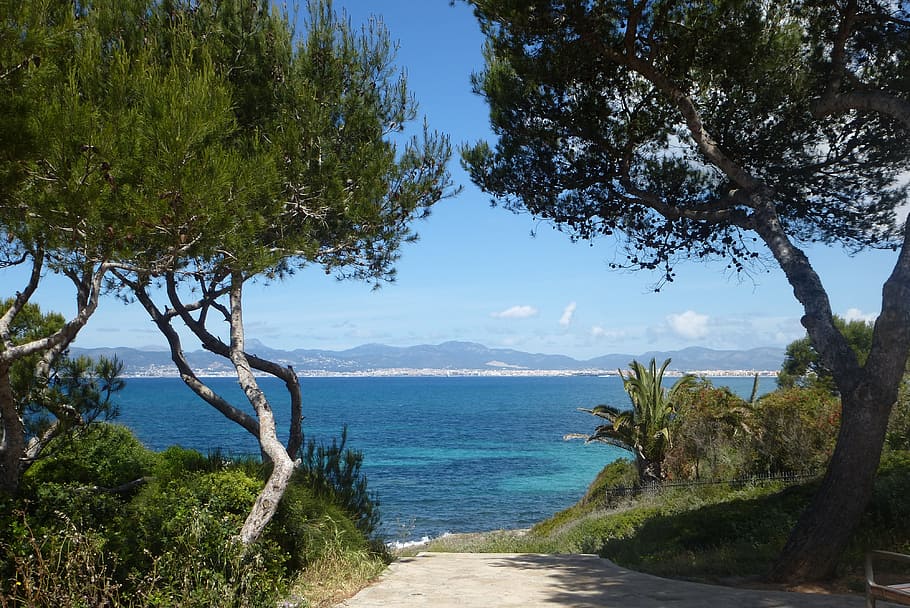 Holiday, Sea, Trees, View, malorca, nature, beach, scenics HD wallpaper