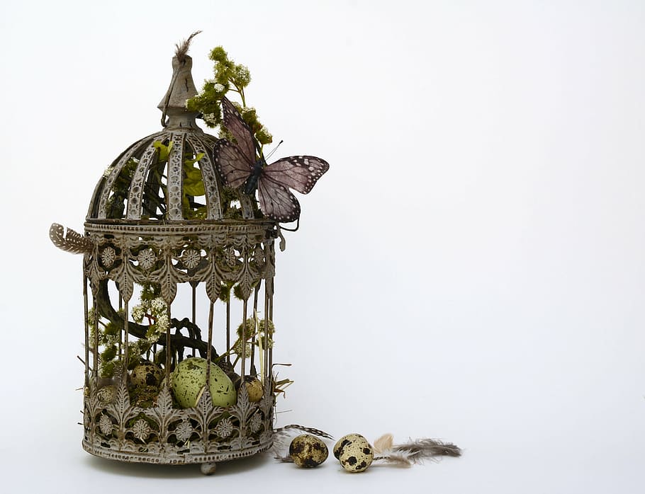 quail egg in dome black metal birdcage, easter, quail eggs HD wallpaper