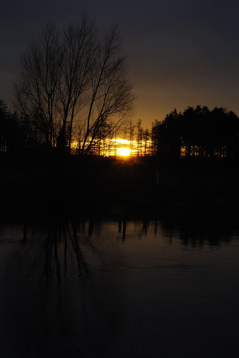 Twilight, Sunset, Trees, reflection, silhouette, night, outdoors HD wallpaper