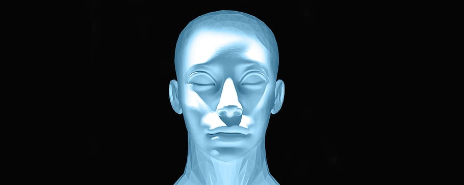 human face diagram, head, portrait, statue, mask, sculpture HD wallpaper