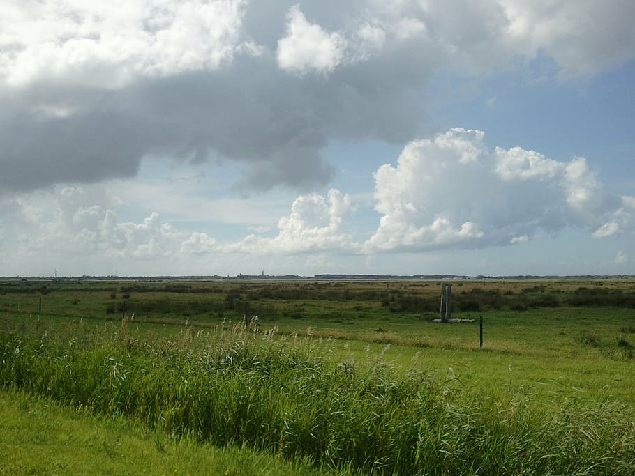 sky, meadow, nature, landscape, clouds, rural Scene, grass HD wallpaper