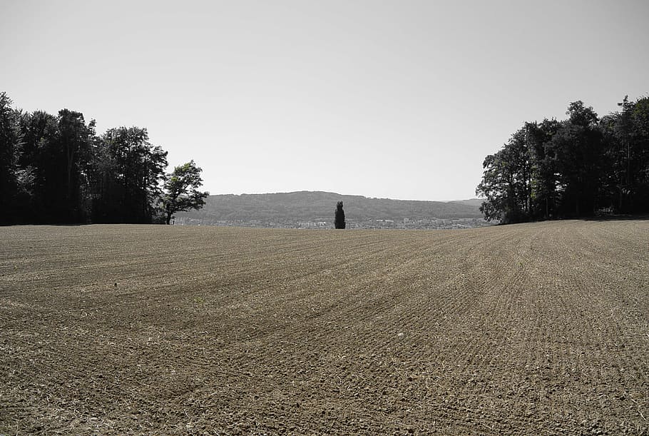 landscape, field, nature, agriculture, rural Scene, farm, plowed Field HD wallpaper
