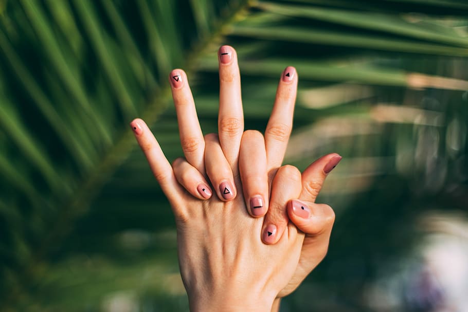 selective focus photography of person's hands, person hand beside green tree HD wallpaper