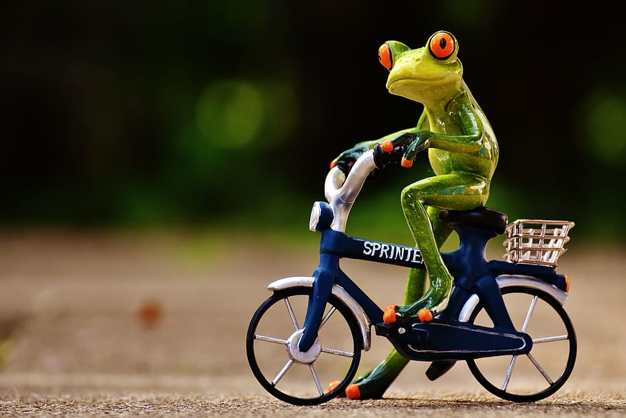 kermit the frog riding bike, funny, cute, sweet, figure, drive, HD wallpaper