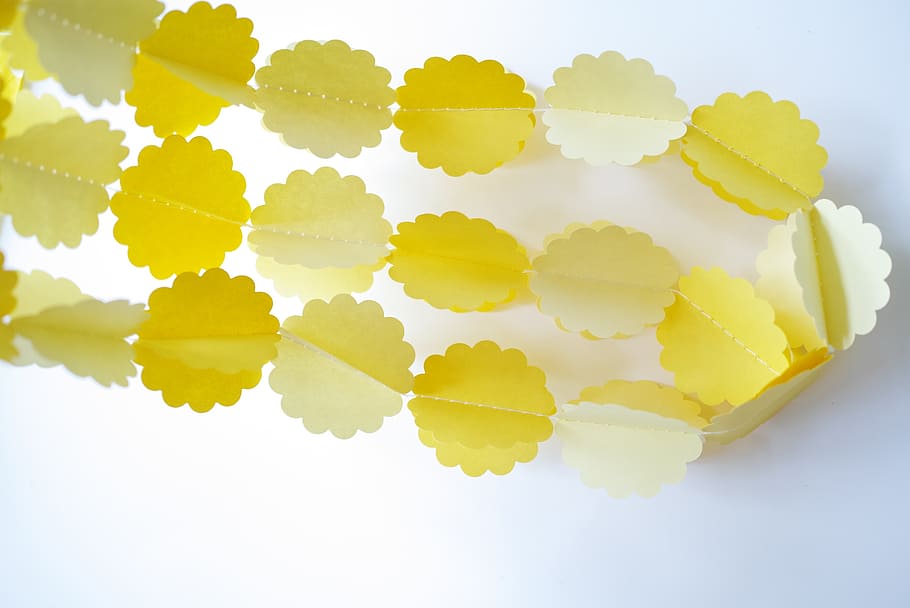 pull flower, party decoration, petal, yellow, food, food and drink HD wallpaper