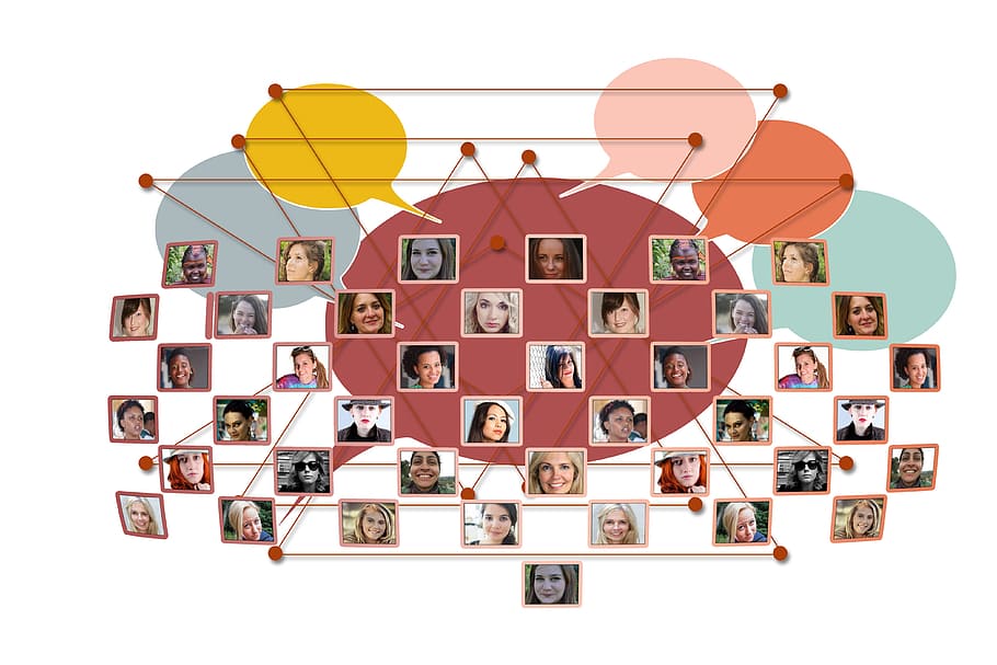 chart organization screenshot, women, network, faces, social