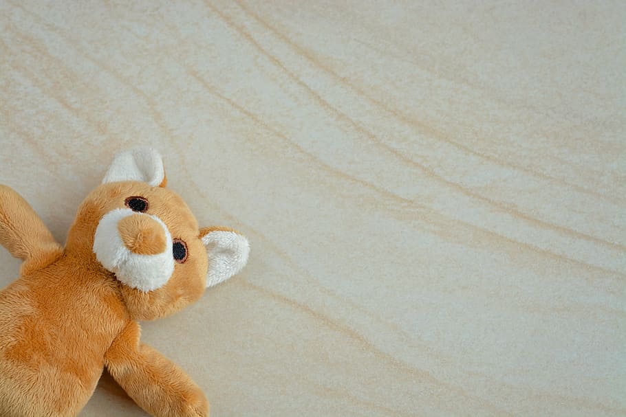teddy, teddy bear, small stuffed bear, furry teddy bear, sweet HD wallpaper