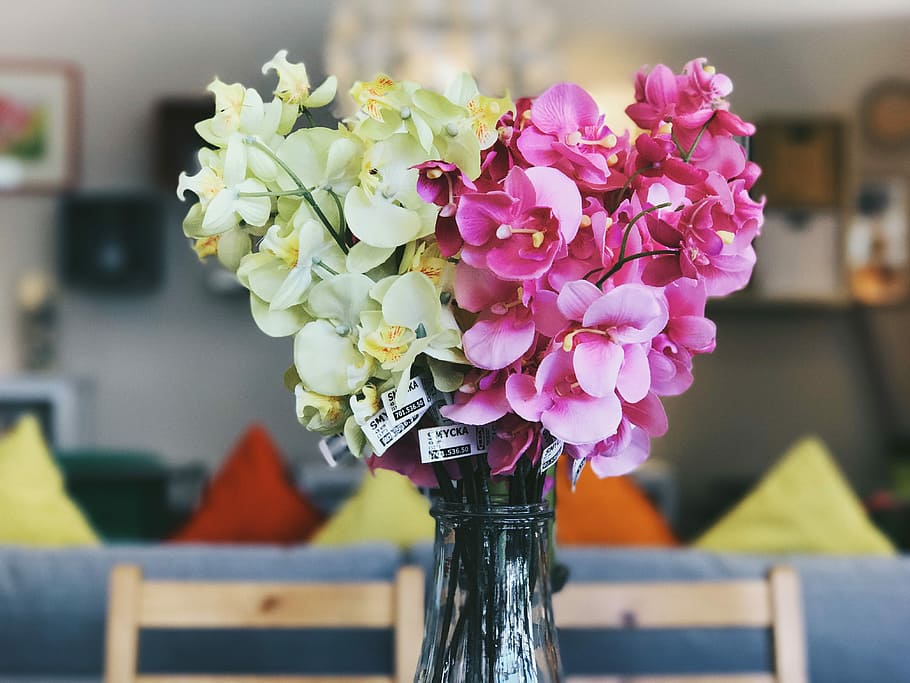 yellow and pink flower in glass vase, bouquet, decoration, arrangement HD wallpaper