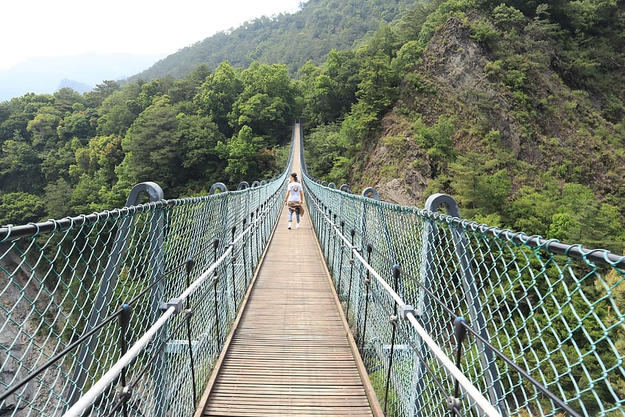suspension bridge, tree, the way forward, connection, bridge - man made structure HD wallpaper