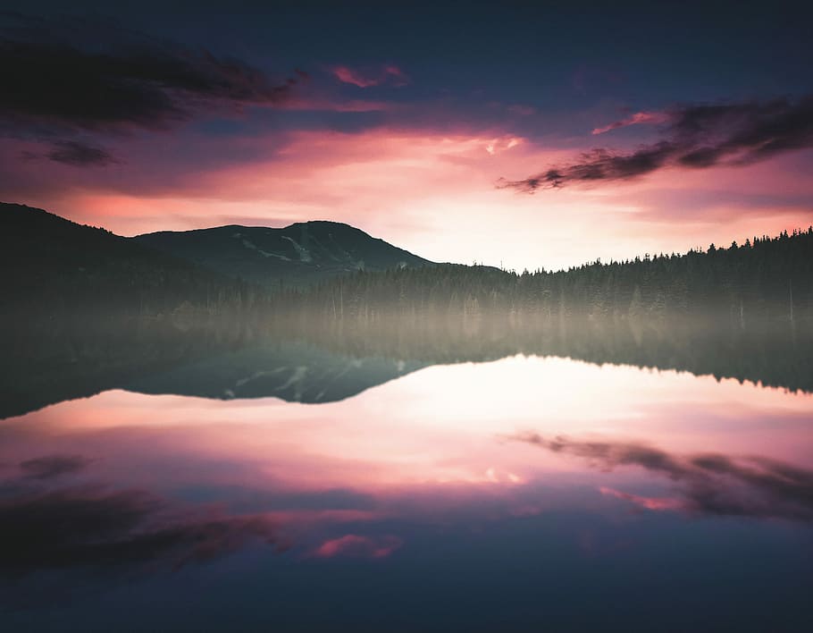 silhouette of trees near river during sunset, reflection, water reflection HD wallpaper