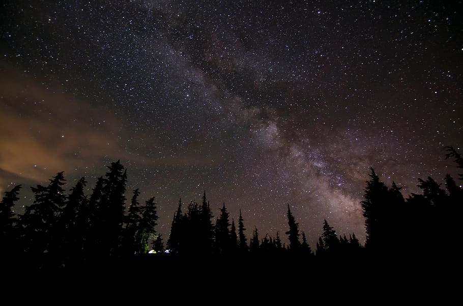 trees, dark, night, nature, sky, stars, galaxies, space, star - space HD wallpaper